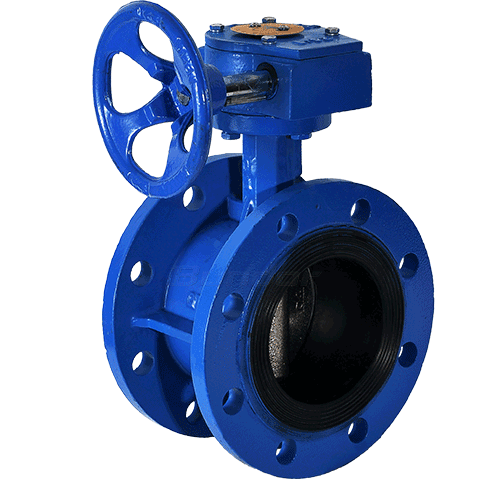 Worm Gear Operated Flange Butterfly Valve4