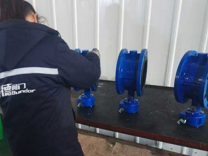 butterfly valve maintance