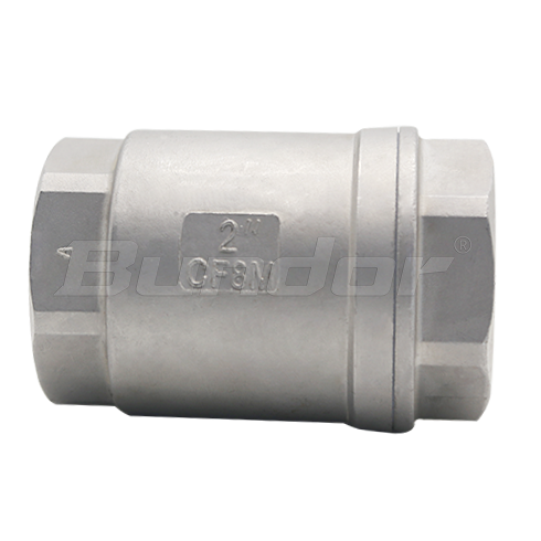 Stainless Steel Lift Check Valve2