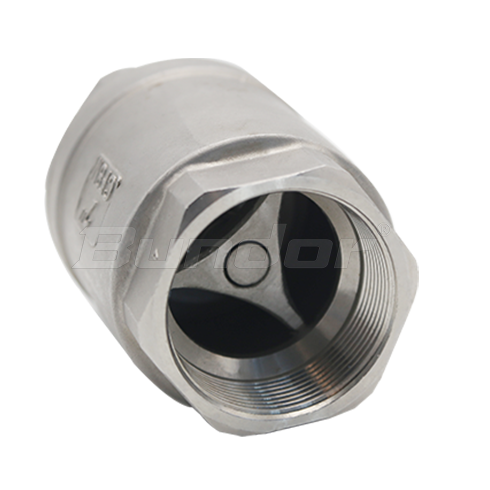 Stainless Steel Lift Check Valve4