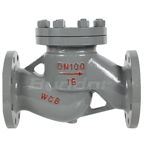 WCB Lift check valve4