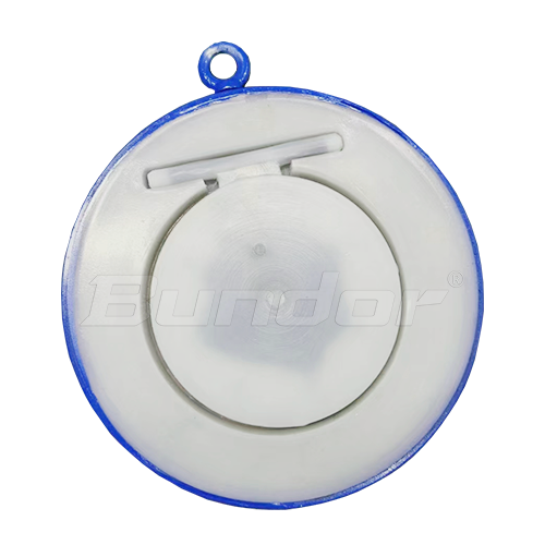 PTFE Lined Check Valve2