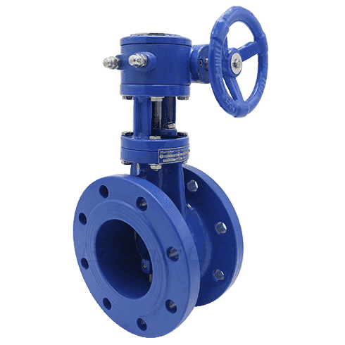 Double Offset Butterfly Valve1
