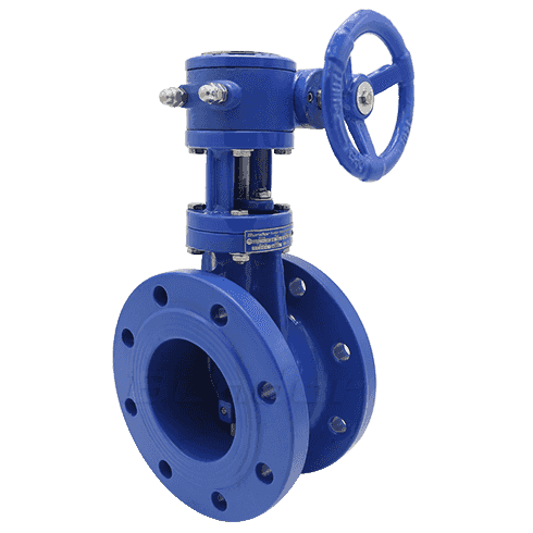 Double Offset Butterfly Valve