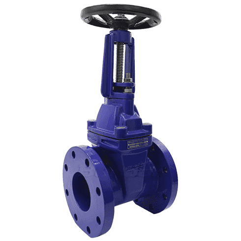 BS5163 Rising Stem Gate Valve