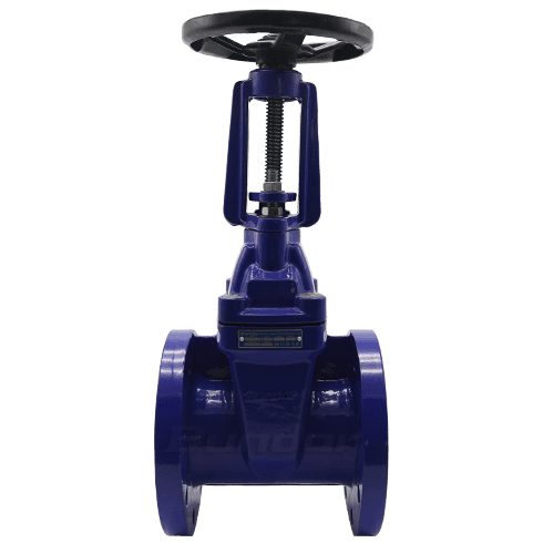 BS5163 Rising Stem Gate Valve2