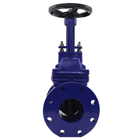 BS5163 Rising Stem Gate Valve4