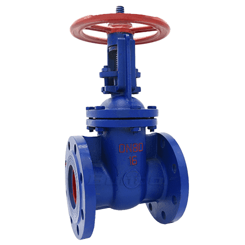 Cast Iron Rising Stem Gate Valve1