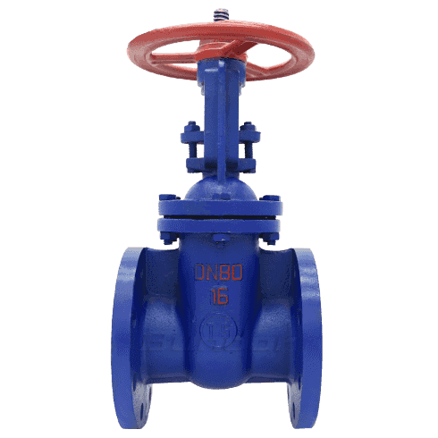 Cast Iron Rising Stem Gate Valve2