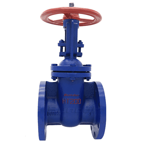 Cast Iron Rising Stem Gate Valve3