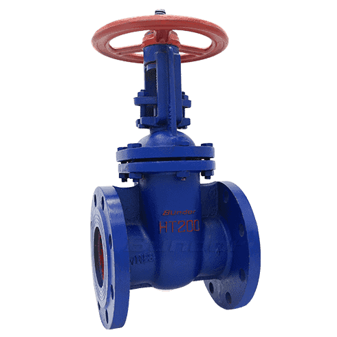 Cast Iron Rising Stem Gate Valve4