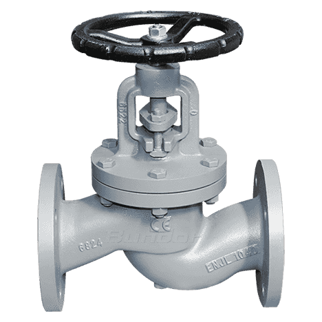 Flange Type Globe Valve1