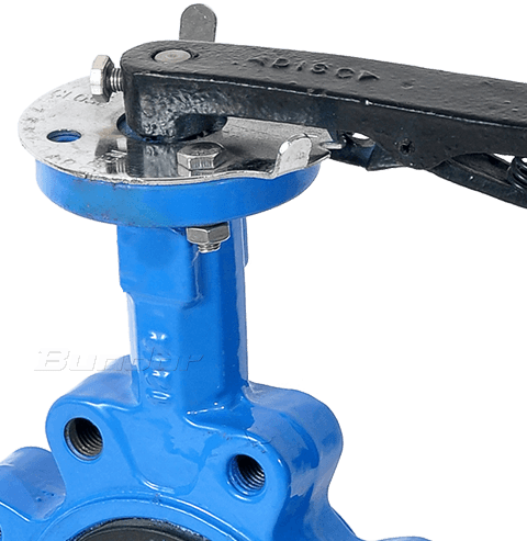 Double Stem Lug Butterfly Valve3