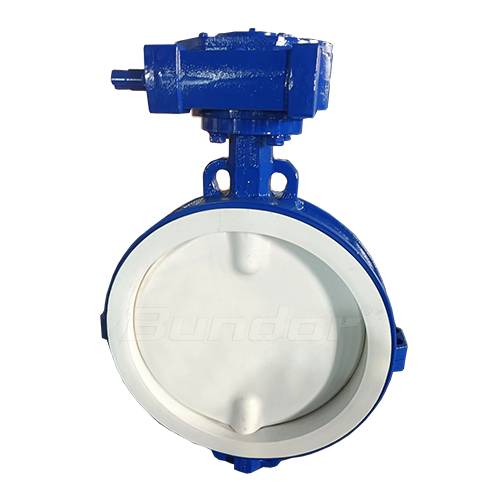 PTFE Worm Gear Wafer Butterfly Valve2