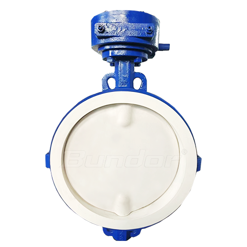 PTFE Worm Gear Wafer Butterfly Valve