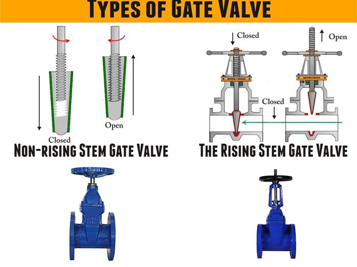Ring stem and non ring stem gate valve