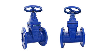 Soft sealing gate valve