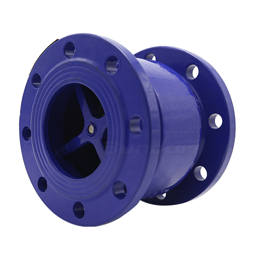 Silent Check Valve2