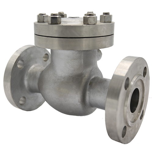 Stainless Steel Swing Check Valve1