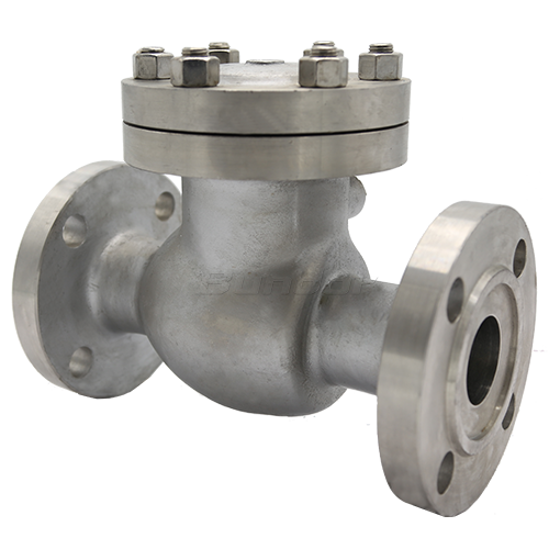 Stainless Steel Swing Check Valve