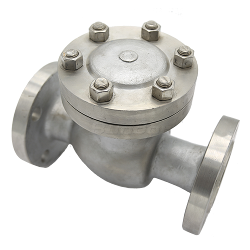 Stainless Steel Swing Check Valve2