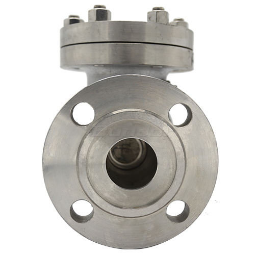 Stainless Steel Swing Check Valve3